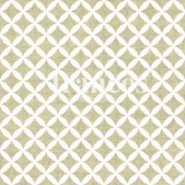 INES 18722 CULLA/GRIS