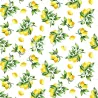 LEMON 19368