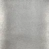 ECOPIEL PLATA