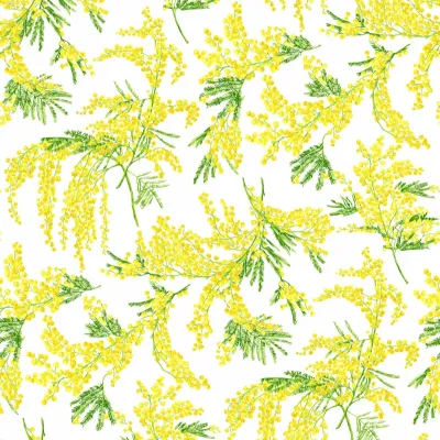 MIMOSA UNICO