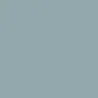 SILVER 204 TEFLON