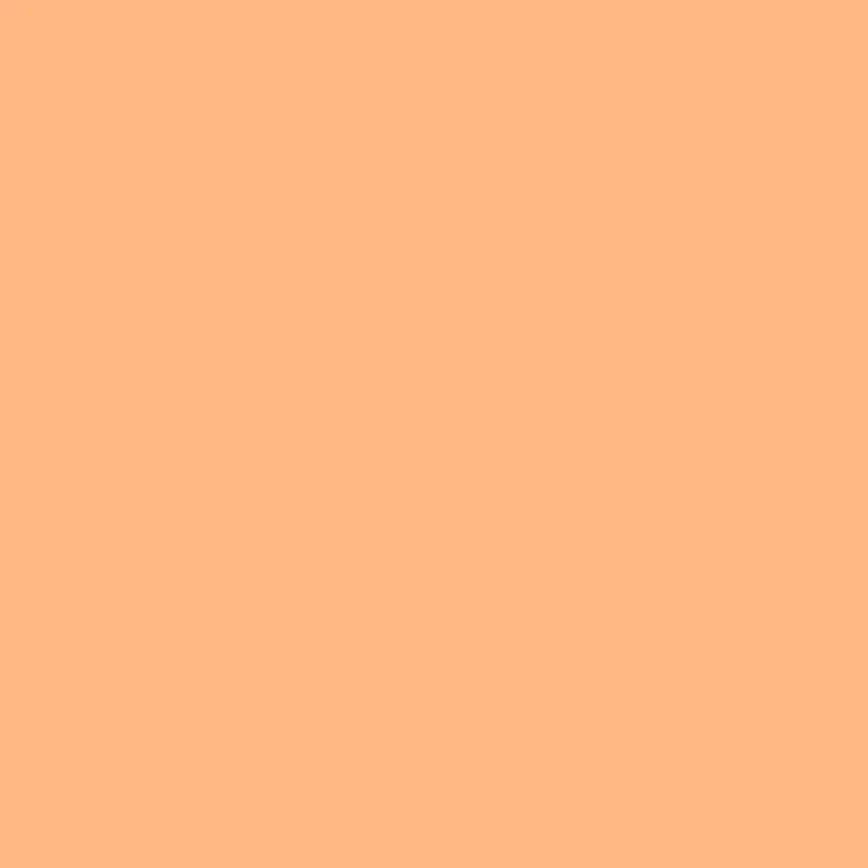PEACH 205 TEFLON