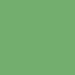 208 COLOR MENTA