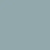 204 COLOR SILVER