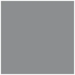 219 COLOR GRIS PLOMO
